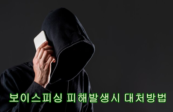 보이스피싱 대처방법