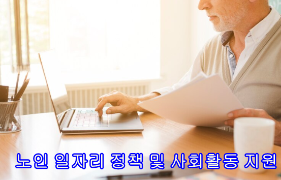 노인일자리정책 사회활동