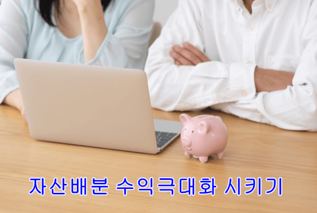 자산배분 수익극대화